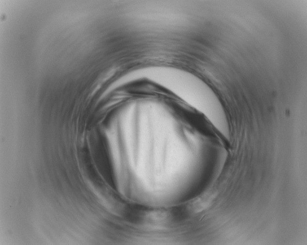 X0000089430168200707061352