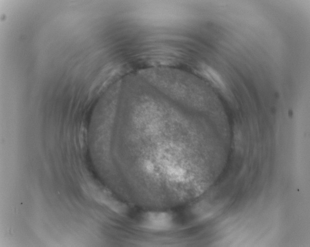 X0000089430169200707061352