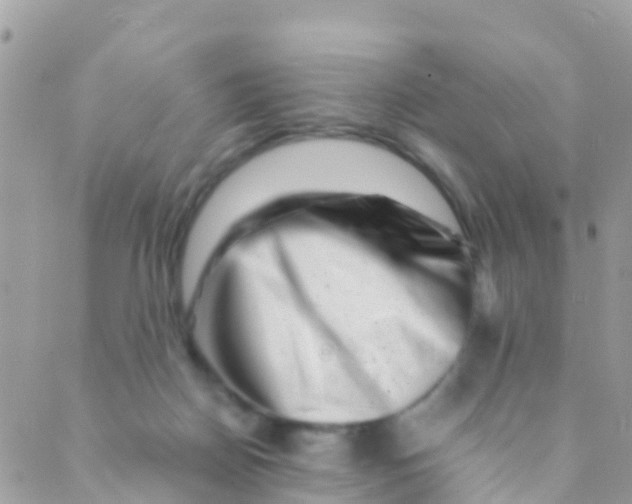 X0000089430170200707061352