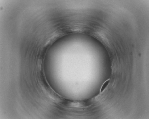 X0000089430171200707061352