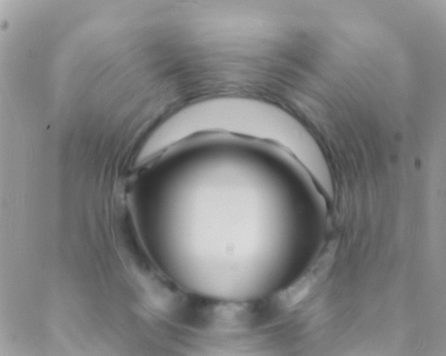 X0000089430172200707061352