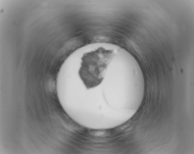 X0000089430173200707061352