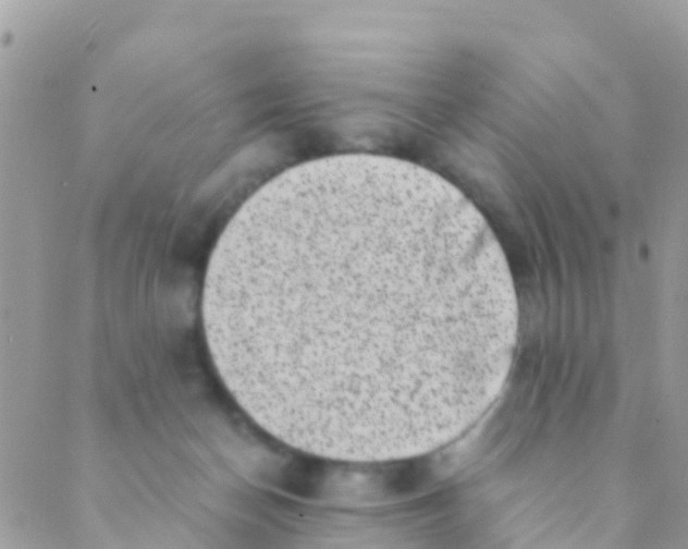 X0000089430174200707061352