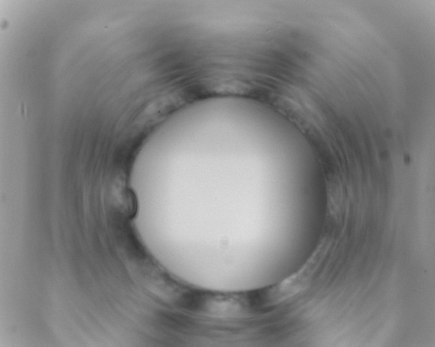 X0000089430175200707061352