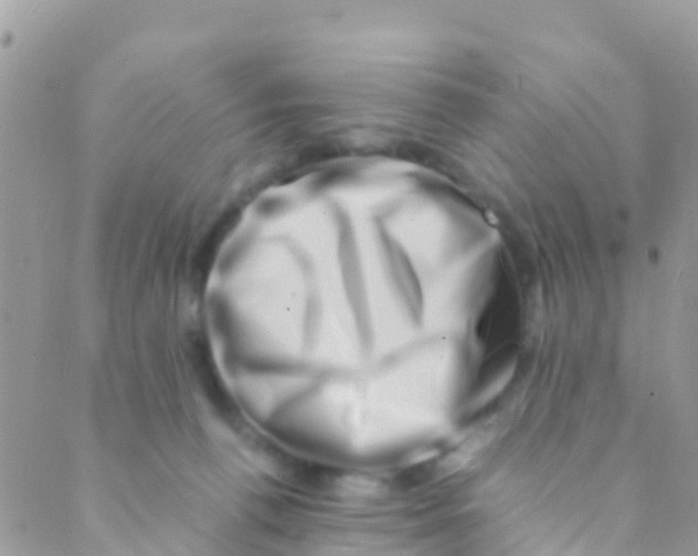 X0000089430176200707061352