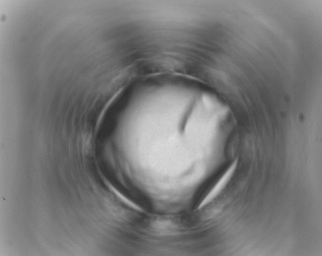 X0000089430177200707061352