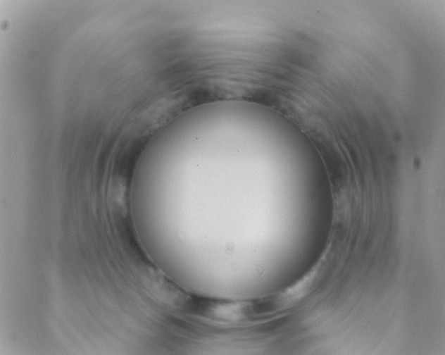 X0000089430178200707061352