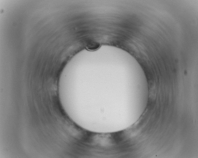 X0000089430179200707061352