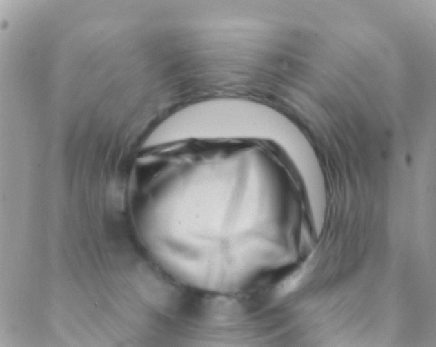 X0000089430180200707061352