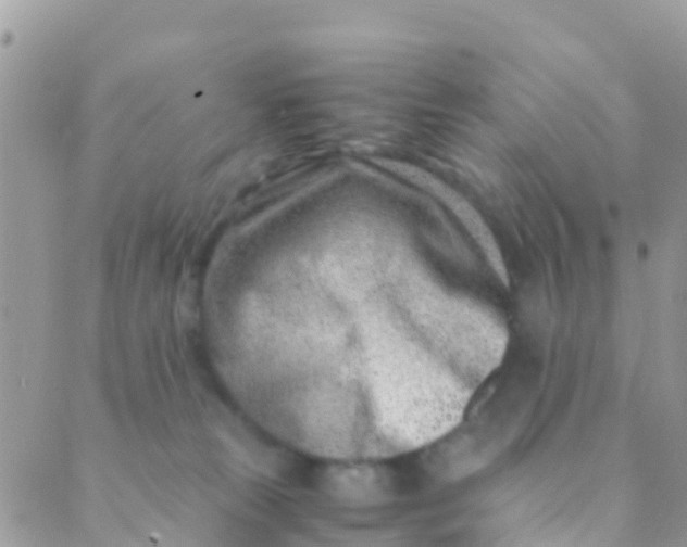 X0000089430181200707061353