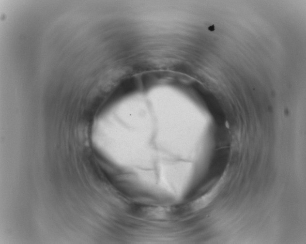 X0000089430182200707061353