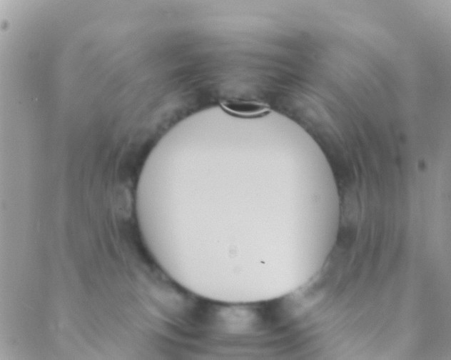 X0000089430183200707061353