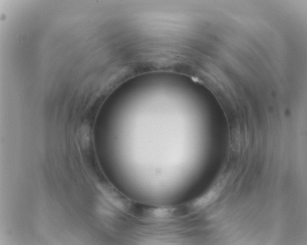 X0000089430184200707061353