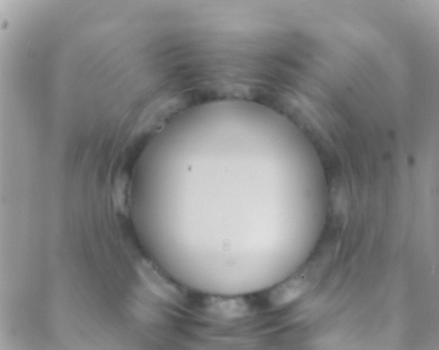 X0000089430185200707061353