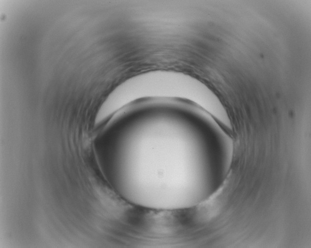 X0000089430186200707061353