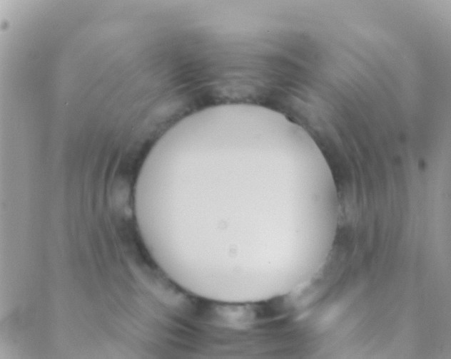 X0000089430187200707061353