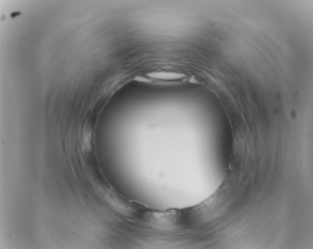 X0000089430188200707061353