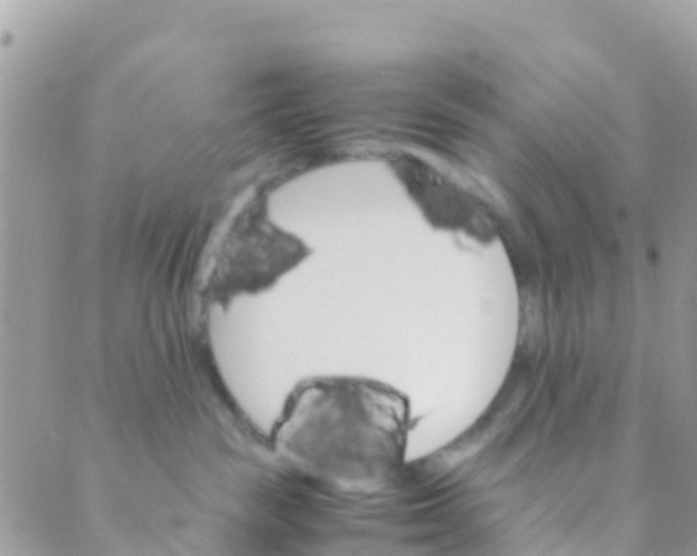 X0000089430189200707061353