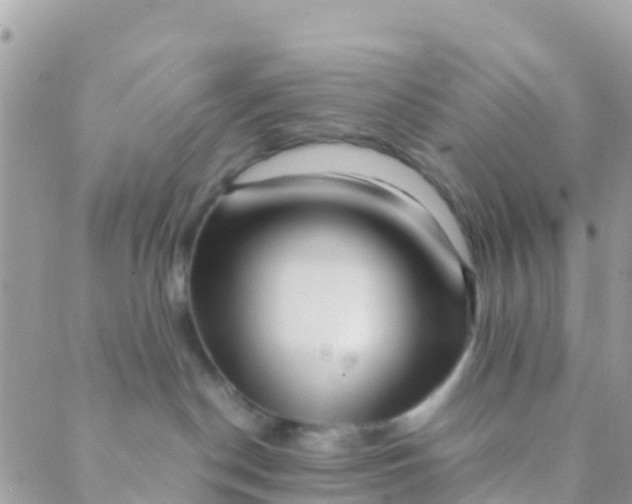 X0000089430190200707061353