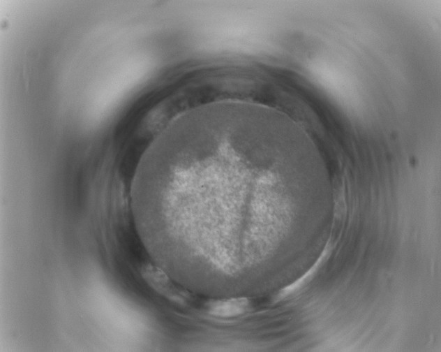 X0000089430191200707061353