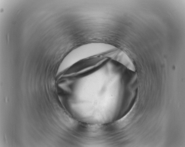 X0000089430192200707061353