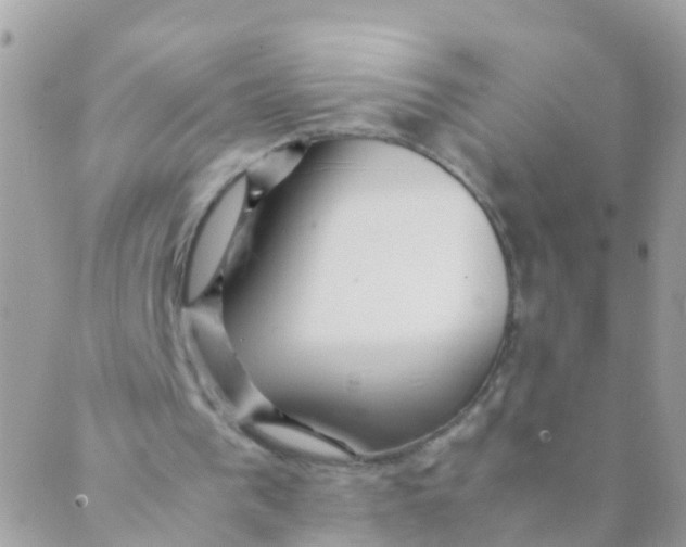 X0000089430193200707061352