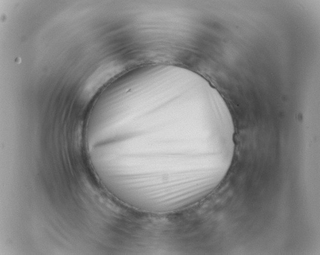 X0000089430194200707061352