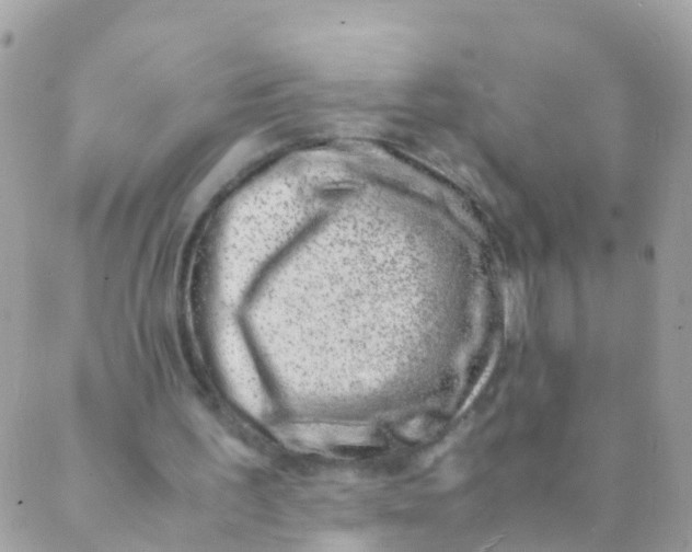 X0000089430195200707061352