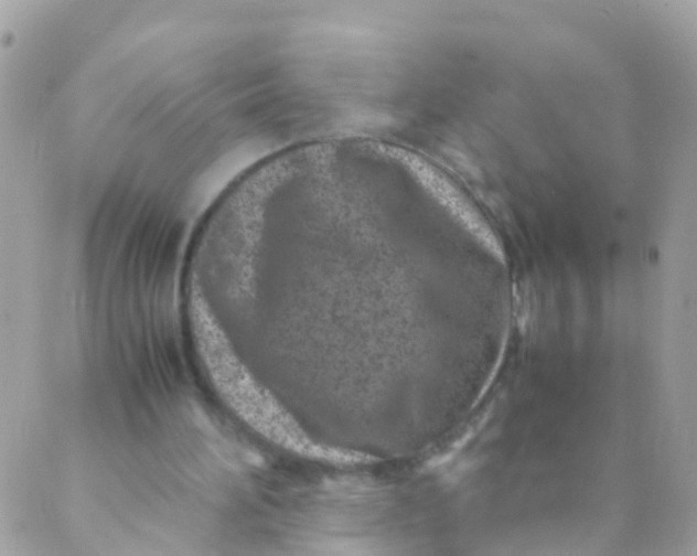 X0000089430196200707061352