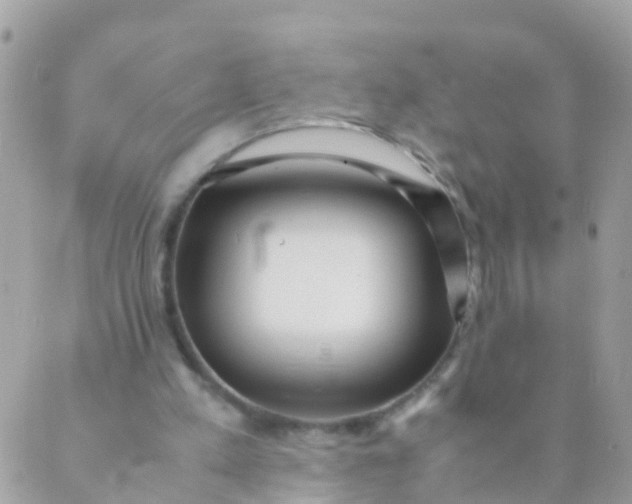 X0000089430197200707061352