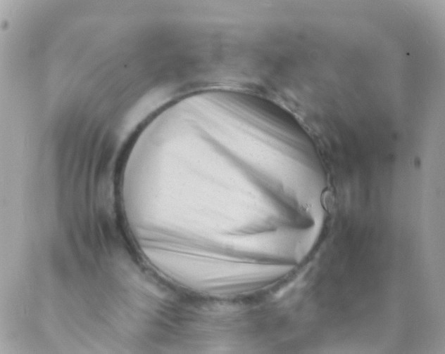 X0000089430198200707061352