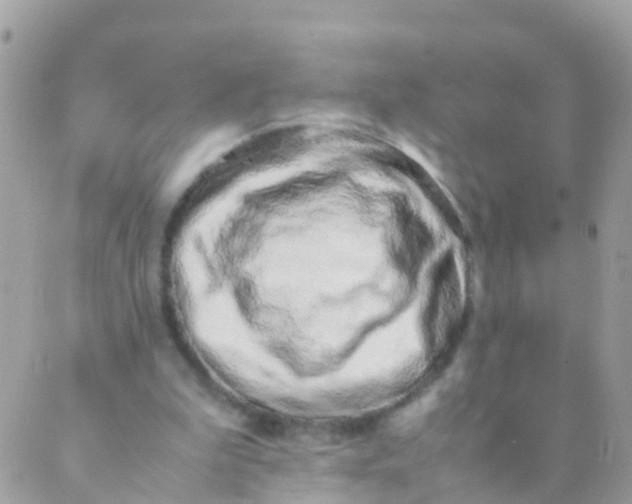 X0000089430199200707061352