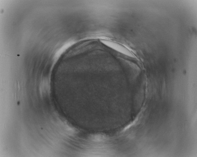 X0000089430200200707061352