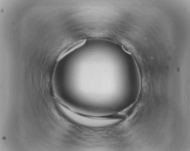 X0000089430201200707061352