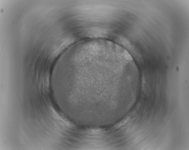 X0000089430202200707061352