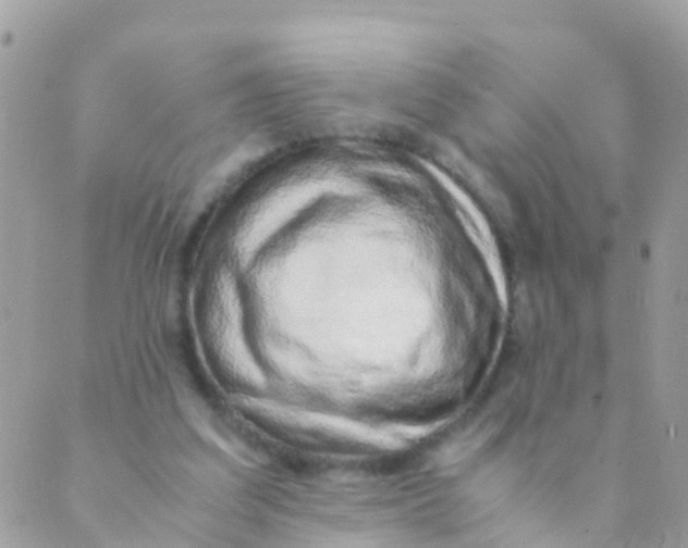 X0000089430203200707061352