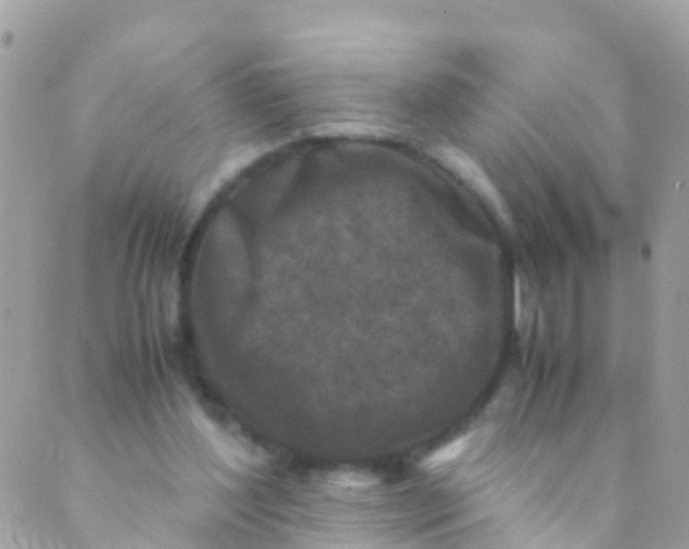 X0000089430204200707061352