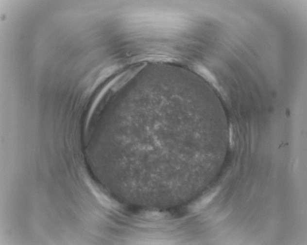 X0000089430205200707061352