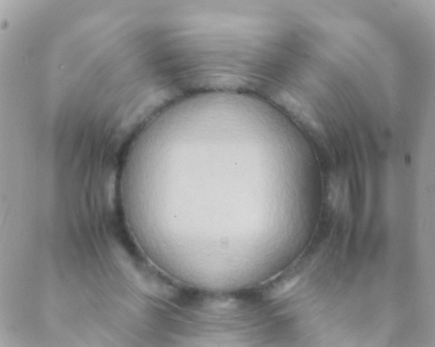 X0000089430206200707061352