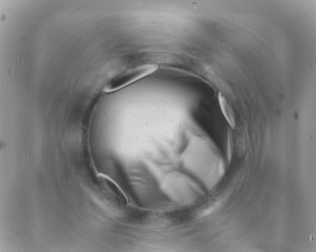 X0000089430207200707061352