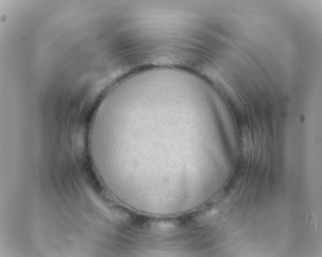 X0000089430208200707061352