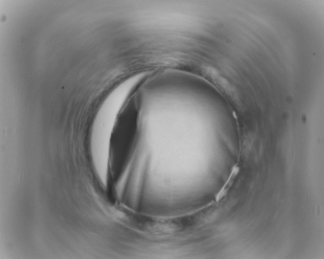 X0000089430209200707061352