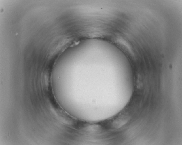 X0000089430210200707061352