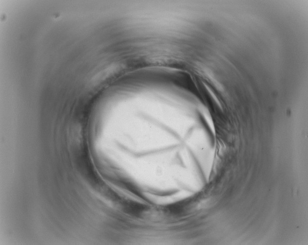 X0000089430211200707061352