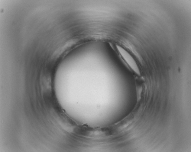 X0000089430212200707061352