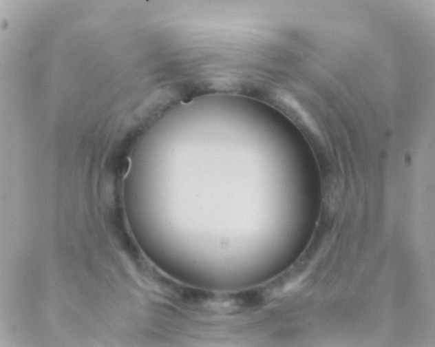 X0000089430213200707061352