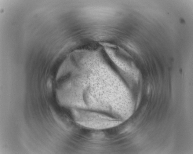 X0000089430214200707061352