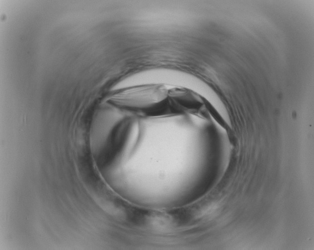 X0000089430215200707061352