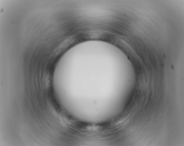 X0000089430216200707061352