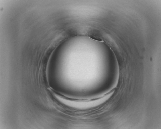 X0000089430217200707061352